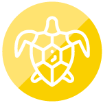 icono-tortuga